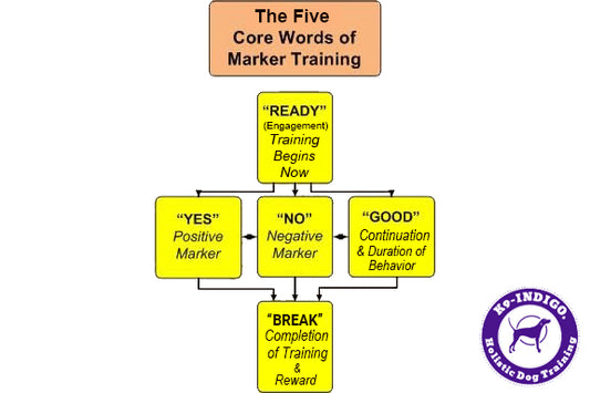 K9-INDIGO® Marker Training System