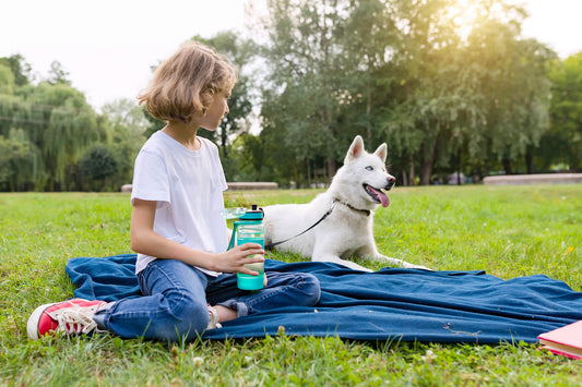 Dog Evacuation Plan- Dog Safety Tips
