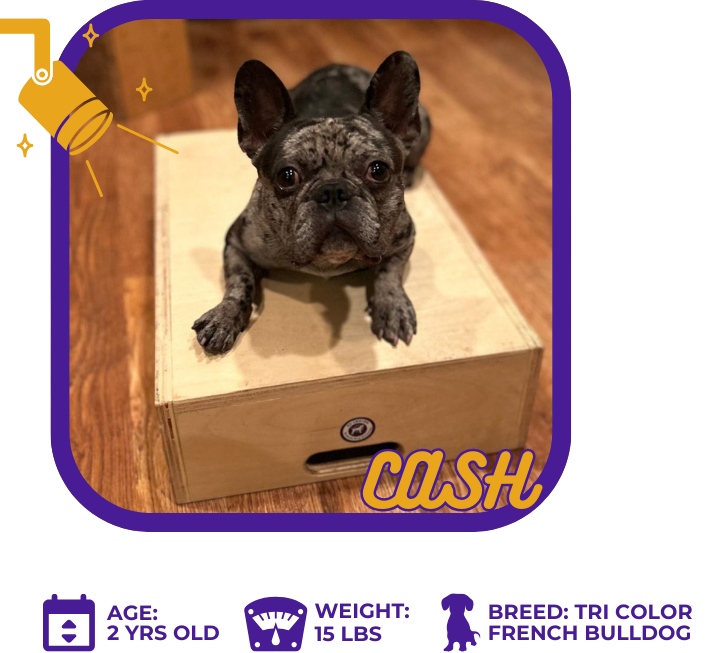Cash