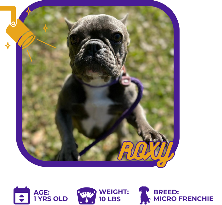 Roxy