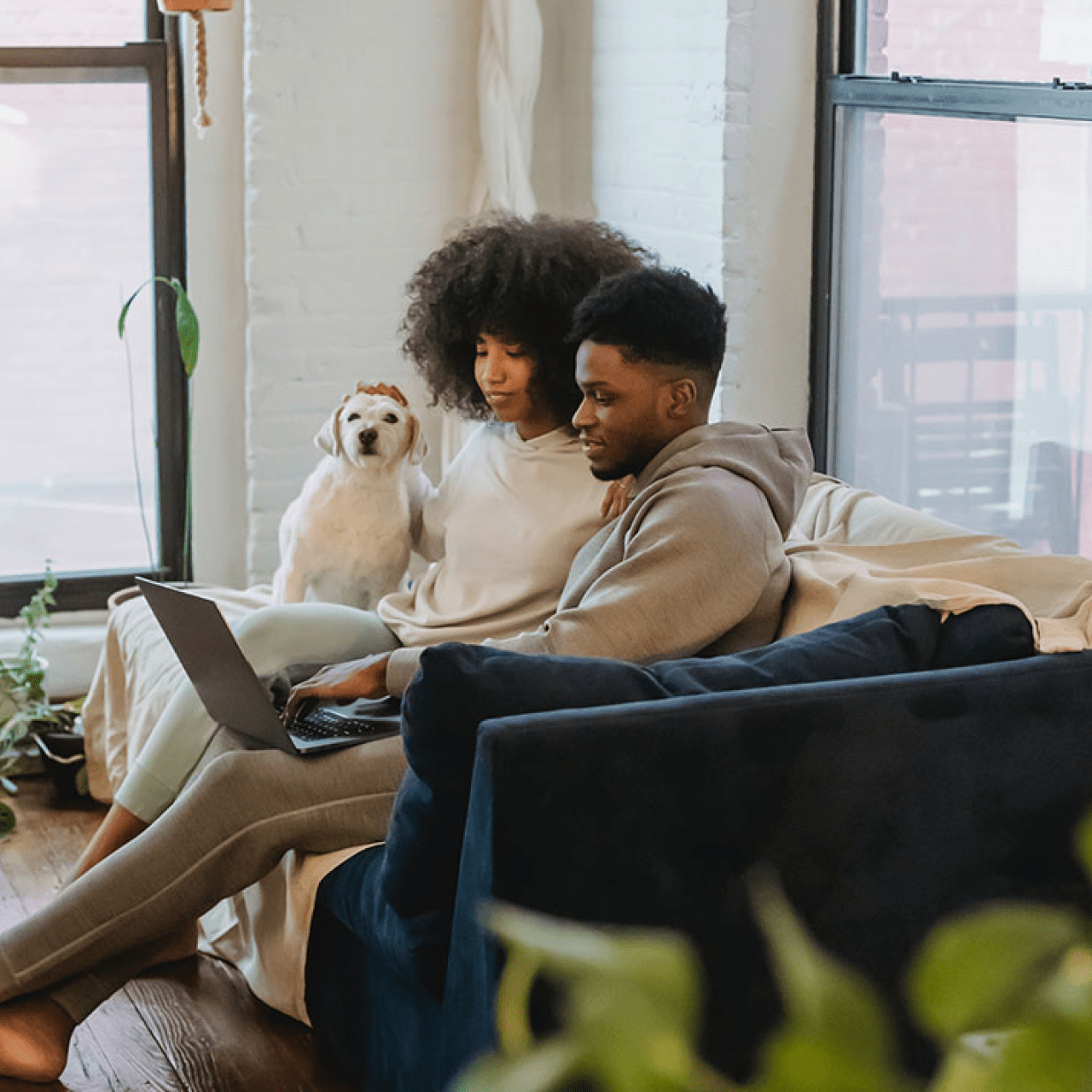 Online Private Dog Training - 5 Training Sessions