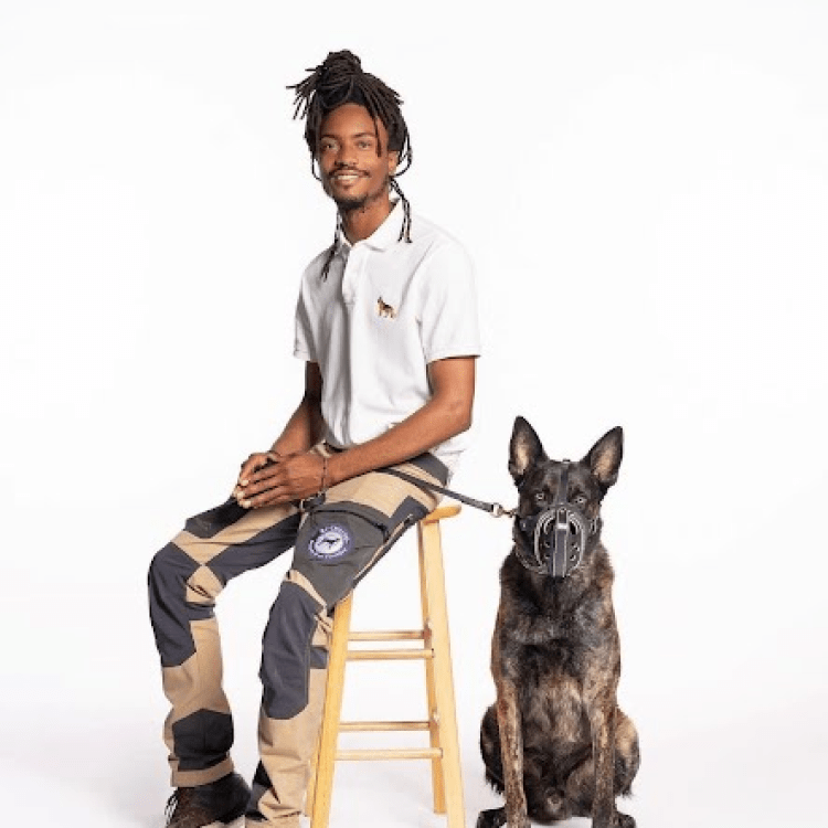 Mentorship - 12 Months