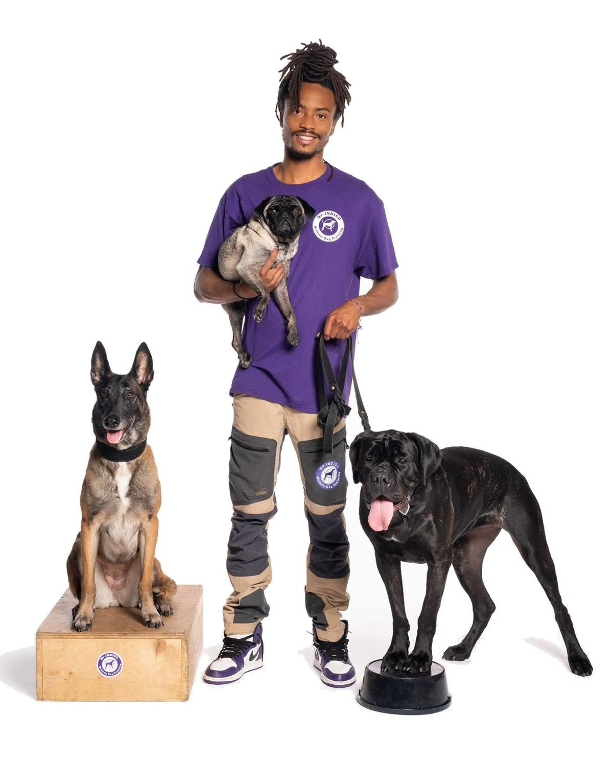 Indigo Will with a pug, a Belgian Malinois and a Cane Corso, K9-INDIGO® Board and Train Program
