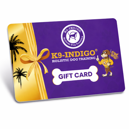 K9-INDIGO® Gift Cards — The Gift That Changes Everything